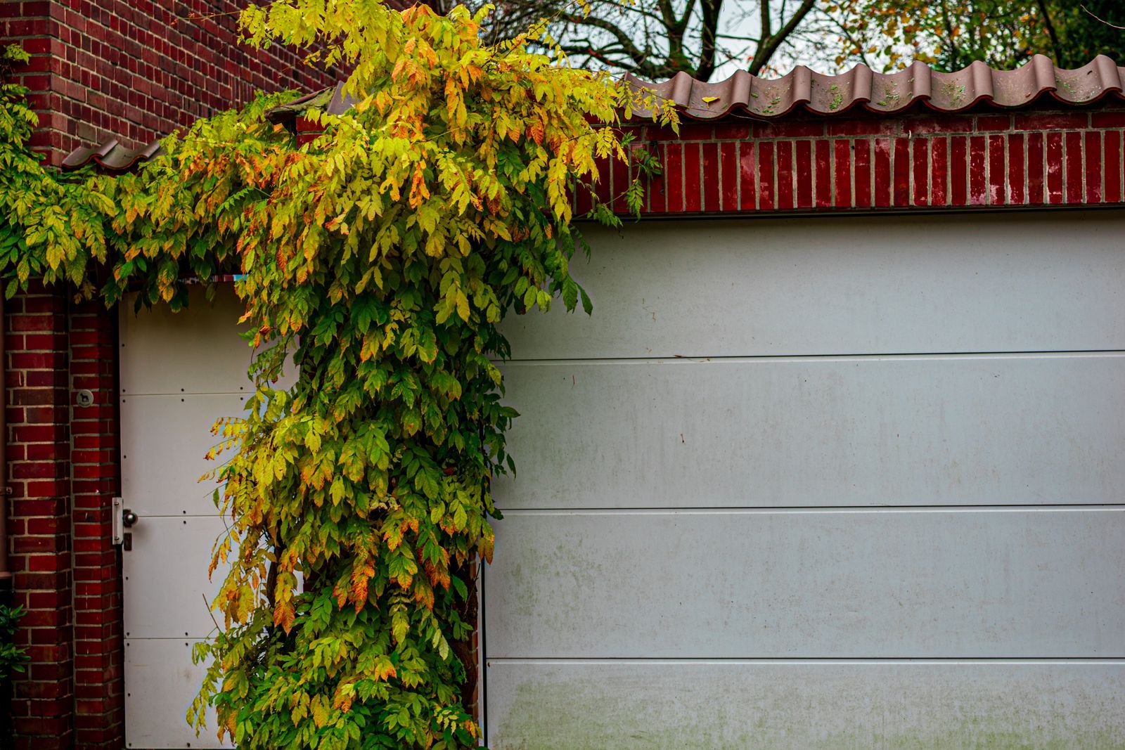 A residential garage door in Pasadena, California
